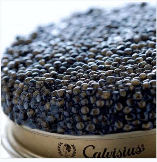 DELICATESSEN - FERRARI THAILAND