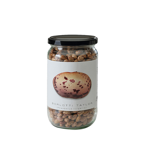 PRUNOTTO - BORLOTTI BEANS (PHASEOLUS VULGARIS) 500G - FERRARI THAILAND