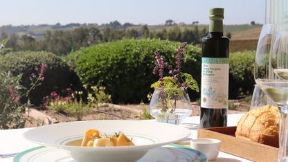 PLANETA – ORGANIC EXTRA VIRGIN OLIVE OIL SICILY I.G.P. เอ็กซ์ตร้า เวอร์จิ้น โอลีฟ ออยล์ (น้ำมันมะกอกธรรมชาติ)