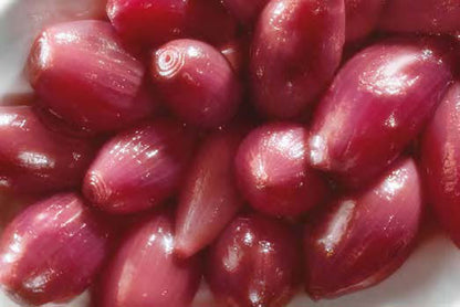 GRECI - ONIONS RED TROPEA 2.5KG หอมแดงดองในน้ำส้มสายชู