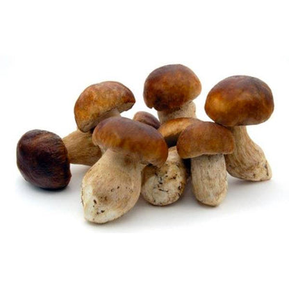 FROZEN CEPES BOUCHON/ PORCINI